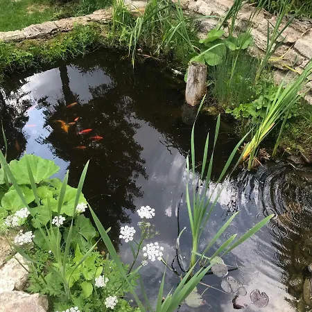 Dorotka Dağ evi Vyšné Ružbachy